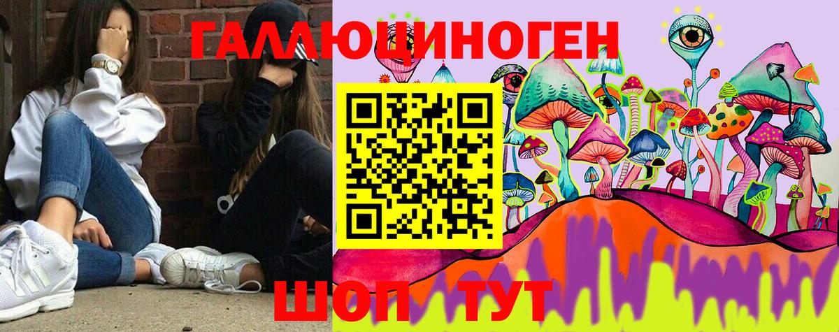 Галлюциногенные грибы Psilocybe Балабаново