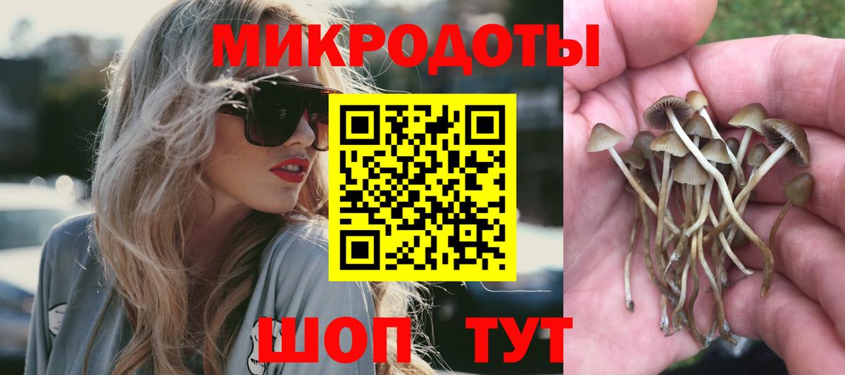 Балабаново  Псилоцибиновые грибы прущие грибы  Вход с VPN 